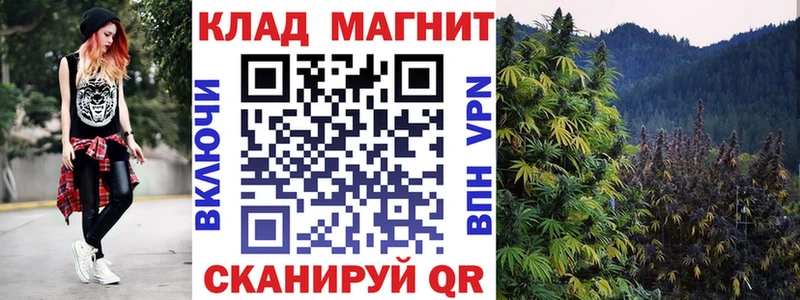 МЕФ Александровск